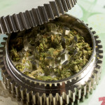 Euro & marijuana in grinder