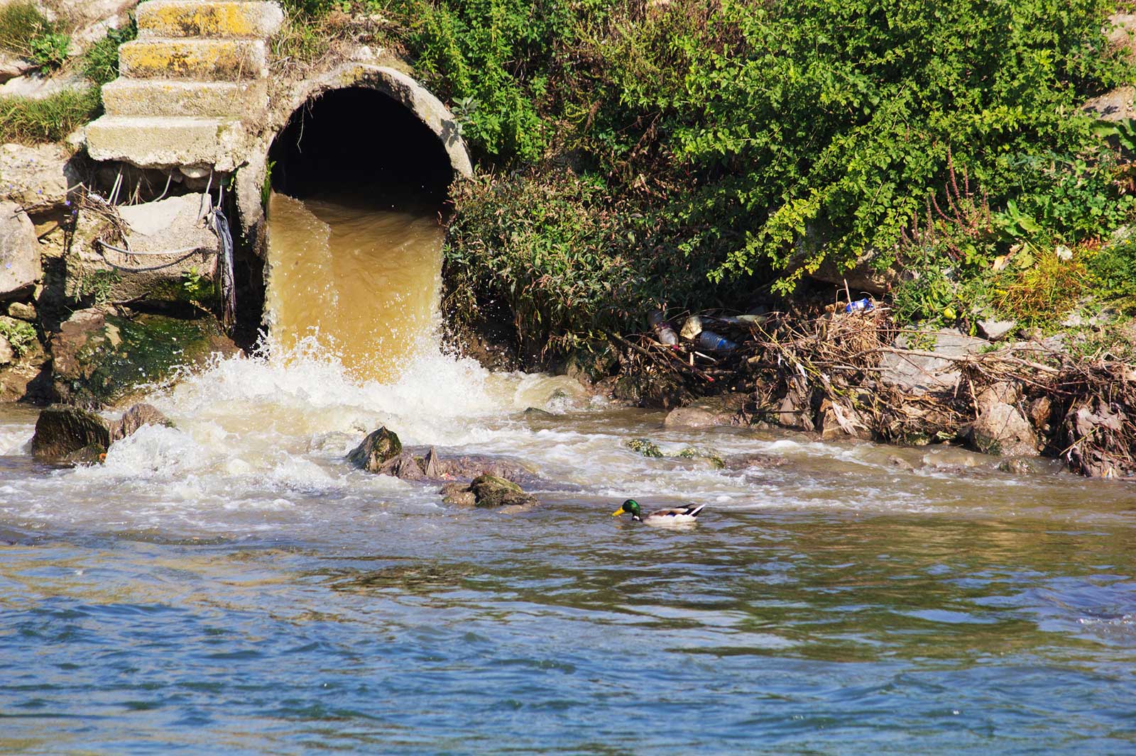 Camp Lejeune North Carolina Water Contamination Lawsuits